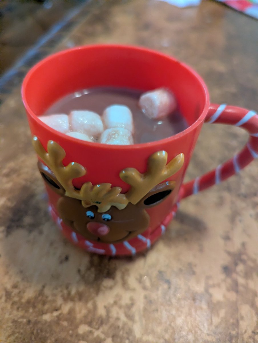 GeekGoddessAX's tweet image. Hot cocoa with kids. ☕

#Cocoa #chilly