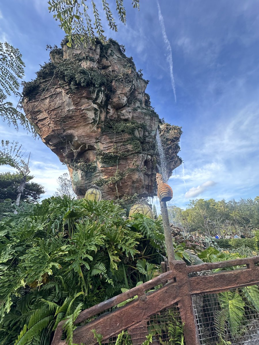 shwtec's tweet photo. Jambo!
We had a wild time at Disney‘s #AnimalKingdom 🌳🐘🎢🦕
#WaltDisneyWorld https://t.co/LfoBJuHFd5