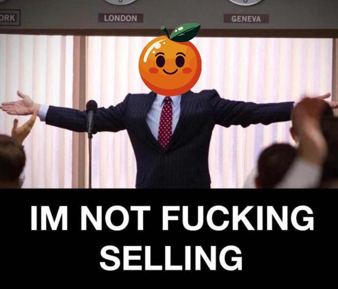 OrangesMeme's tweet image. Orange of Wall Street 🍊
$ORA 

#algorand #algofam #btc
