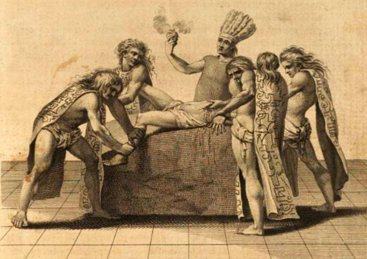 Mexicolore tweet media