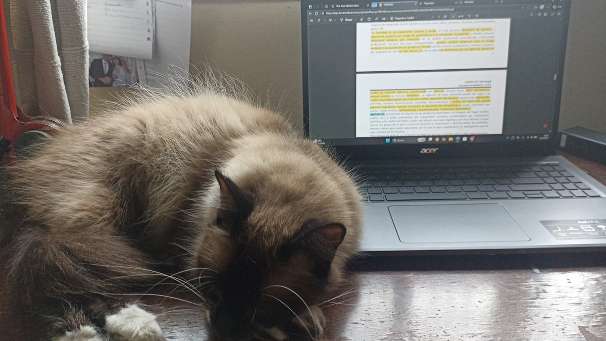 delfrodriguezp's tweet photo. ella  quiere mas que yo que se termine esta tortura https://t.co/7f0BAZfRyU