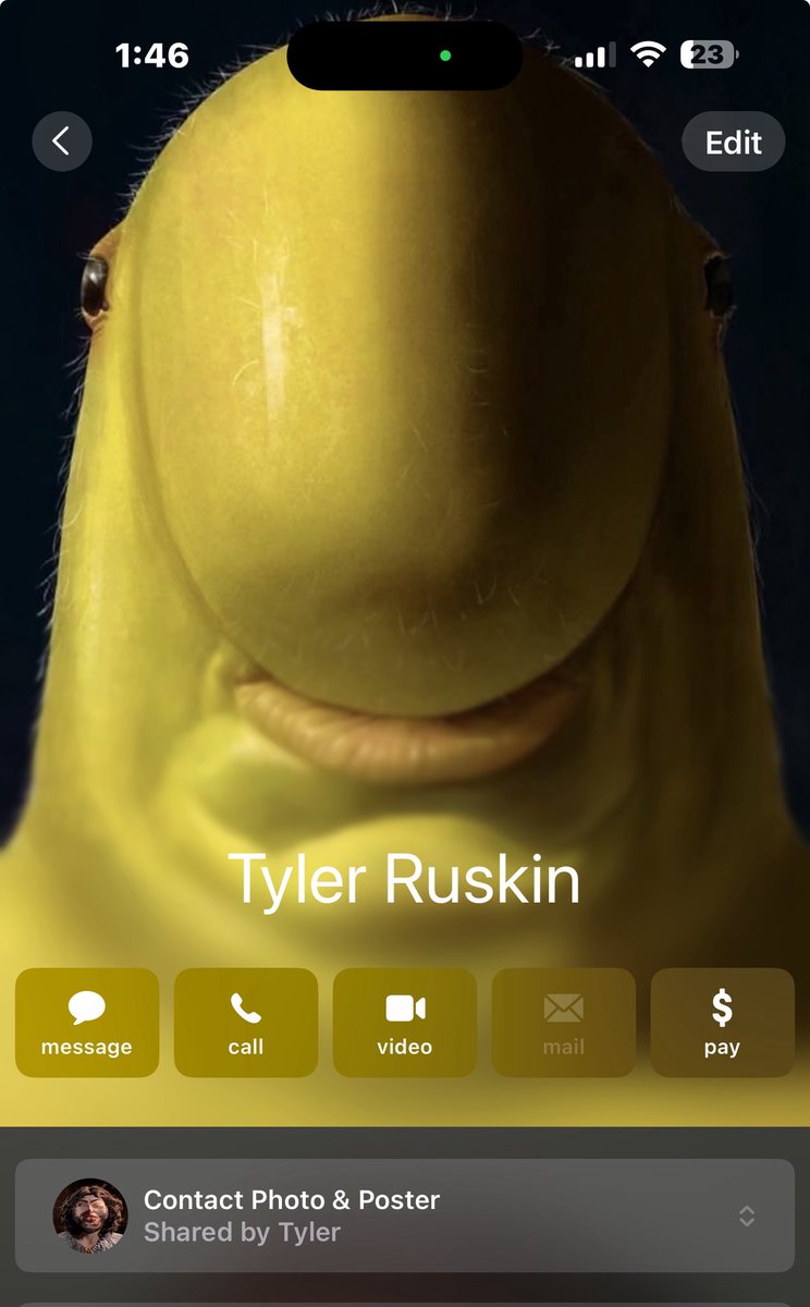 I’m so fucking scared right now <a href="/tyluhruskin/">Tyler</a>