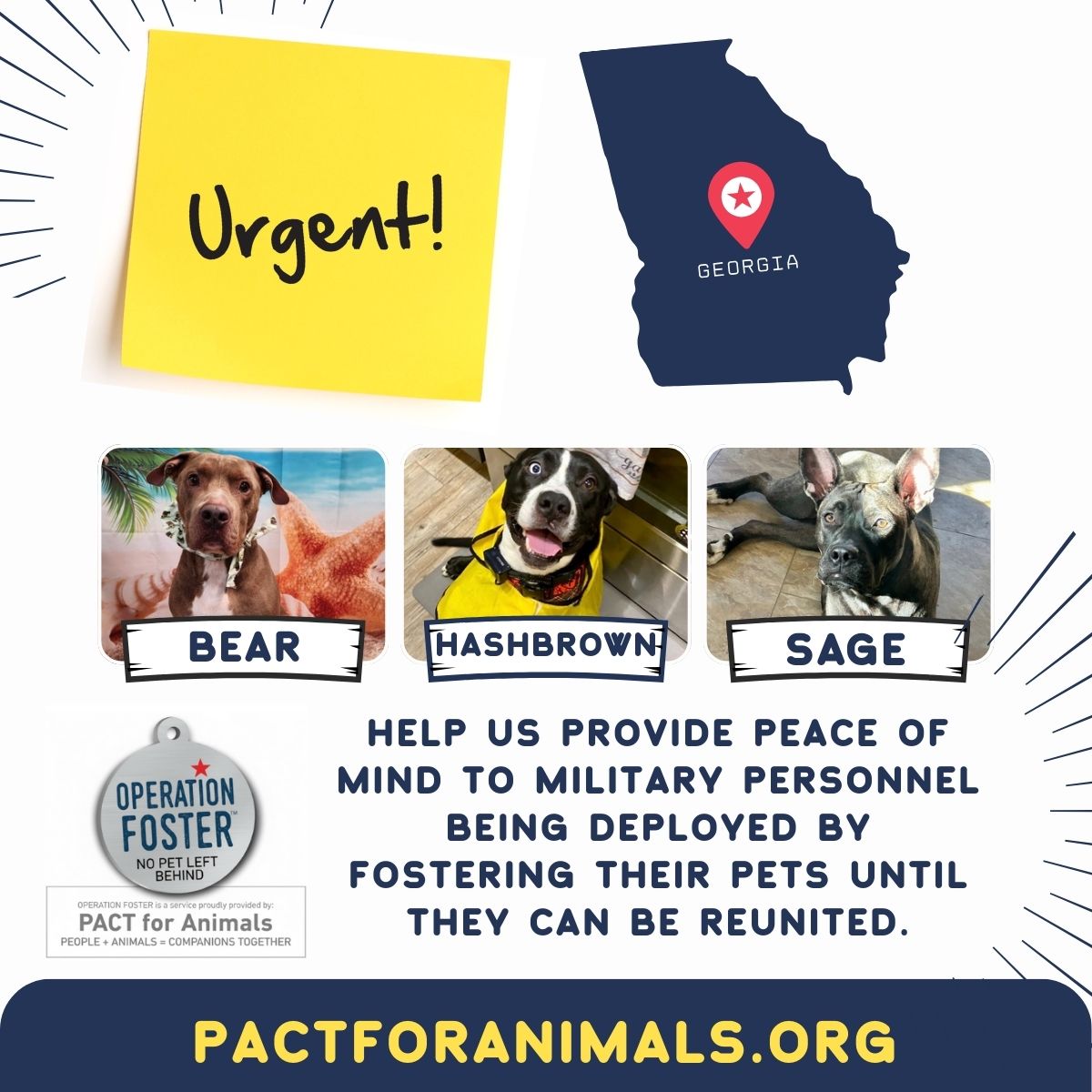 PACT for Animals tweet media