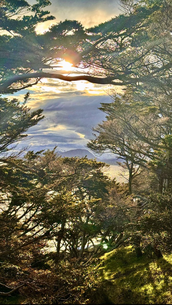 cpilaralonso's tweet photo. Ushuaia, Tierra del Fuego. 💚 https://t.co/14LmDnVjZQ
