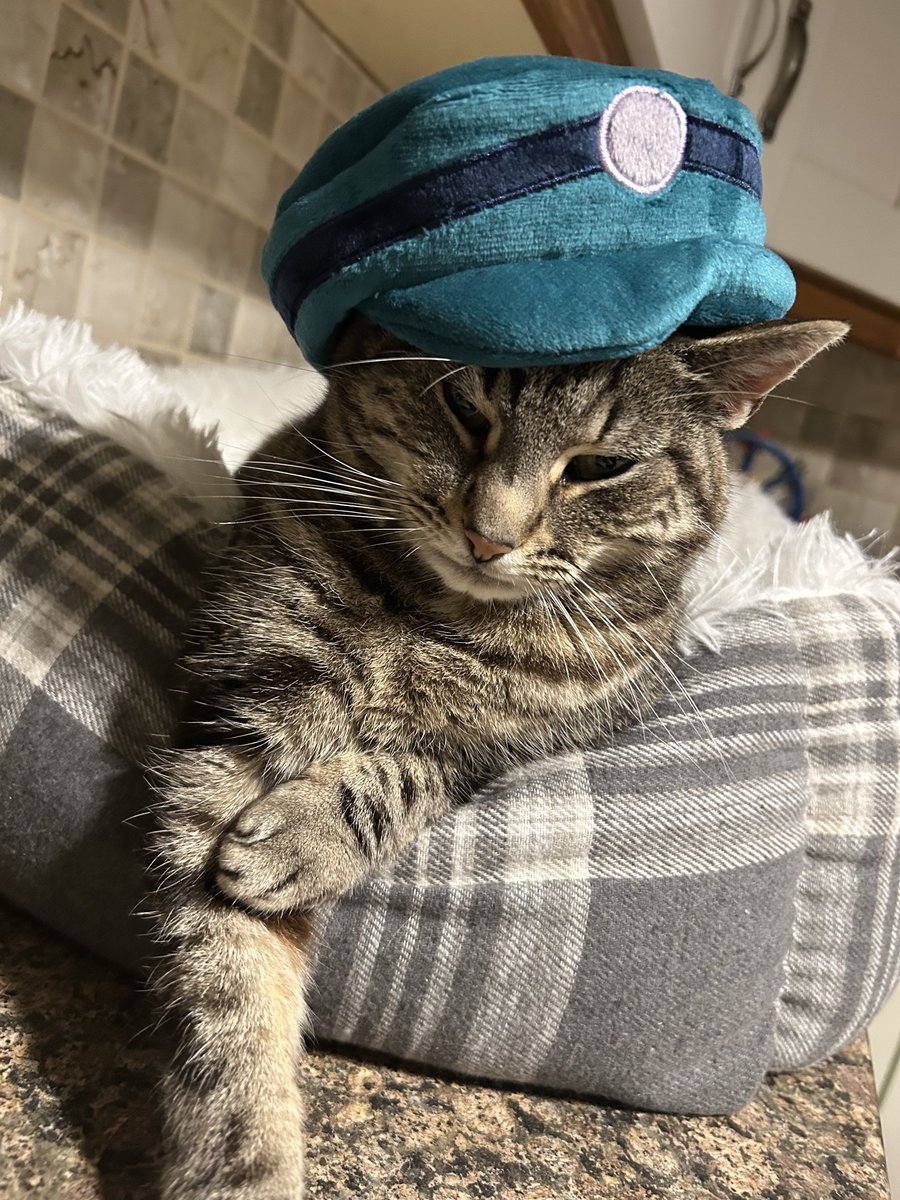 cannibalyuri's tweet image. theres one reason to get the Ena plushie