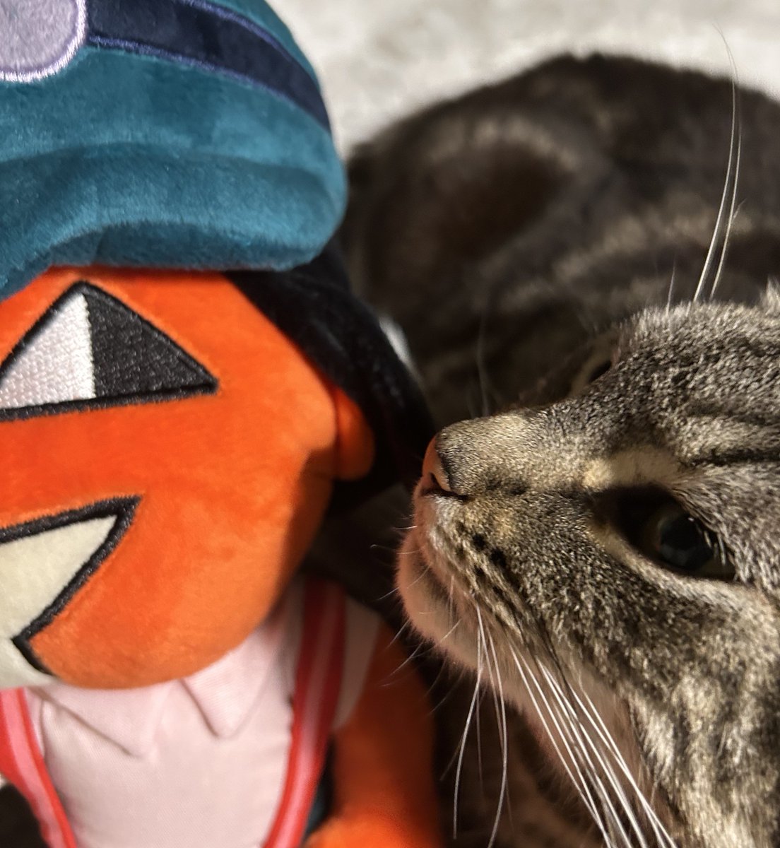 cannibalyuri's tweet image. theres one reason to get the Ena plushie