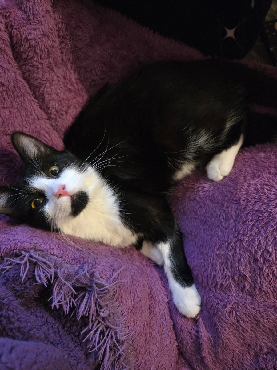 Miss Emily Rose tweet media