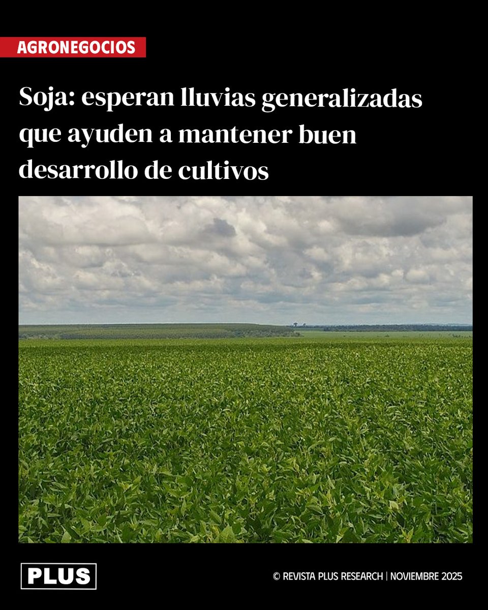 🌧️ Los productores de soja aguardan lluvias generalizadas que permitan sostener el buen desarrollo que actualmente presentan los cultivos.

👉🏻 De acuerdo con la Coordinadora Agrícola del Paraguay (CAP), las parcelas mantienen un estado sanitario favorable, aunque la continuidad