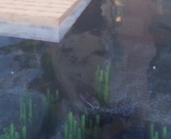 사람 얼굴이 있어요