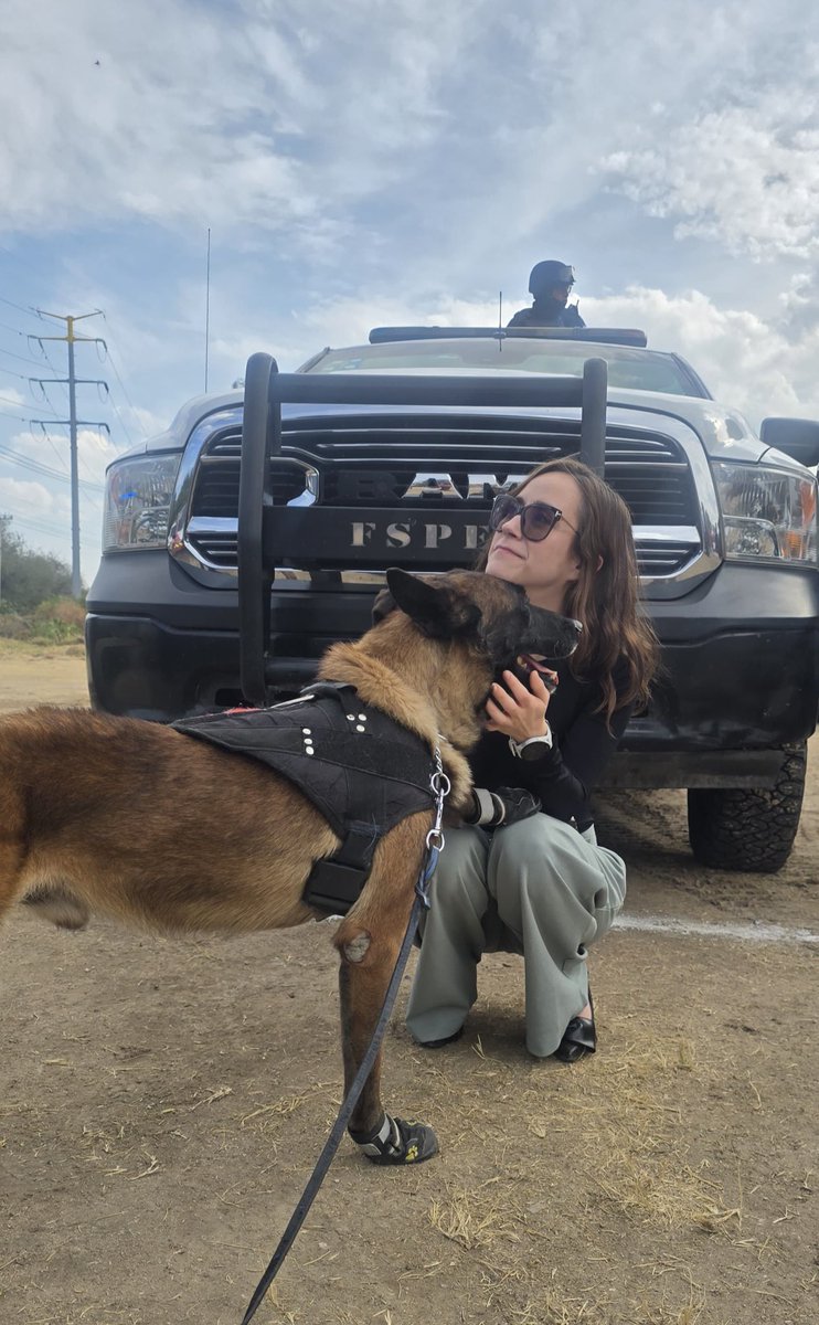 Ahí donde nos ven, los dos andábamos trabajando.

Rok 🦮