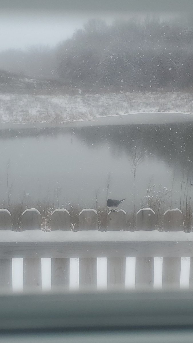 YoungTaru tweet media