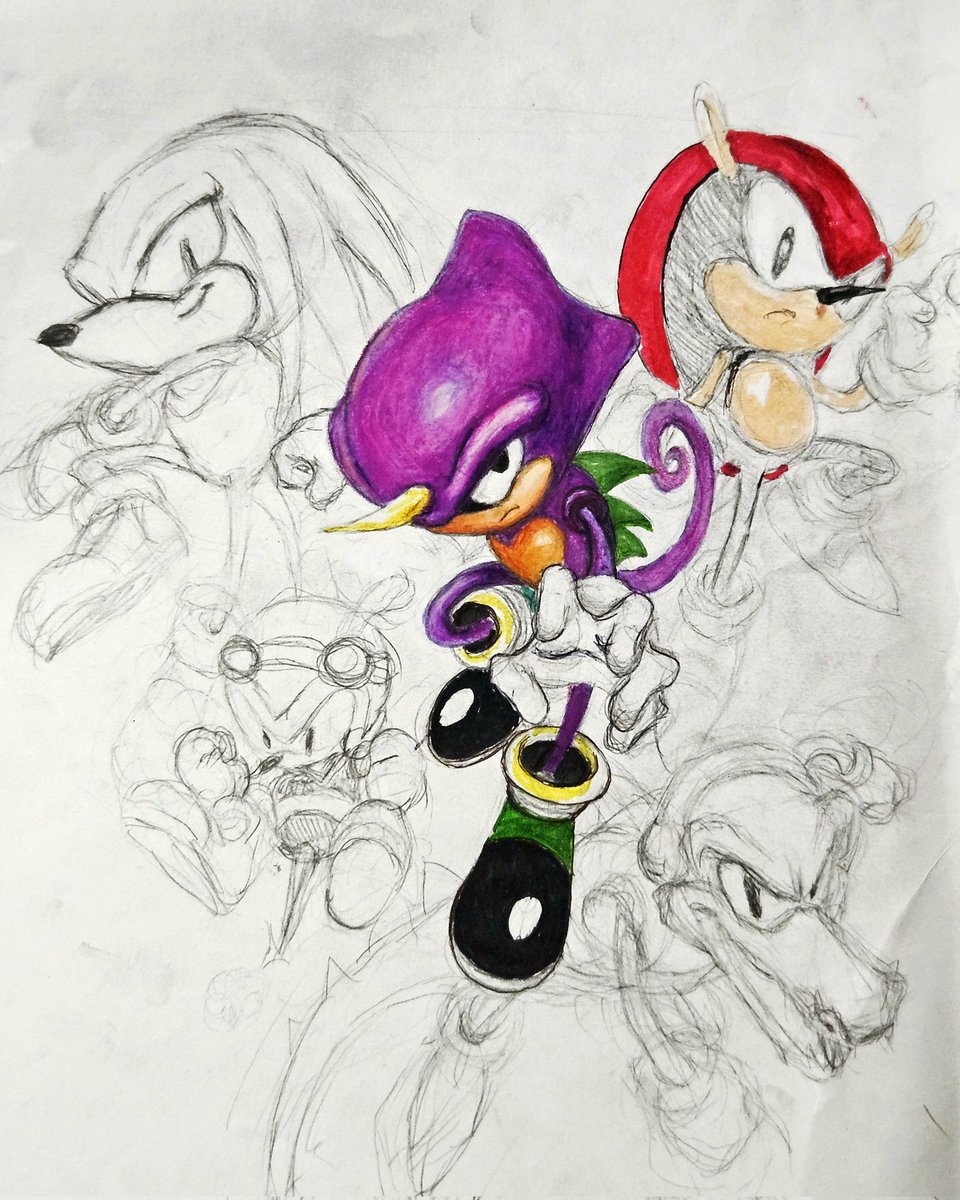 JUNIOONEONONE40's tweet image. Forgot I made this. I like that Espio.
