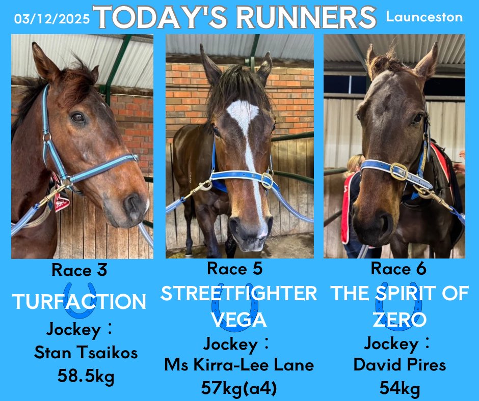 今夜は3頭が出走予定です。
Turfy はタスマニア競馬、初出陣です！
Good luck, boys 🏇🏇🏇