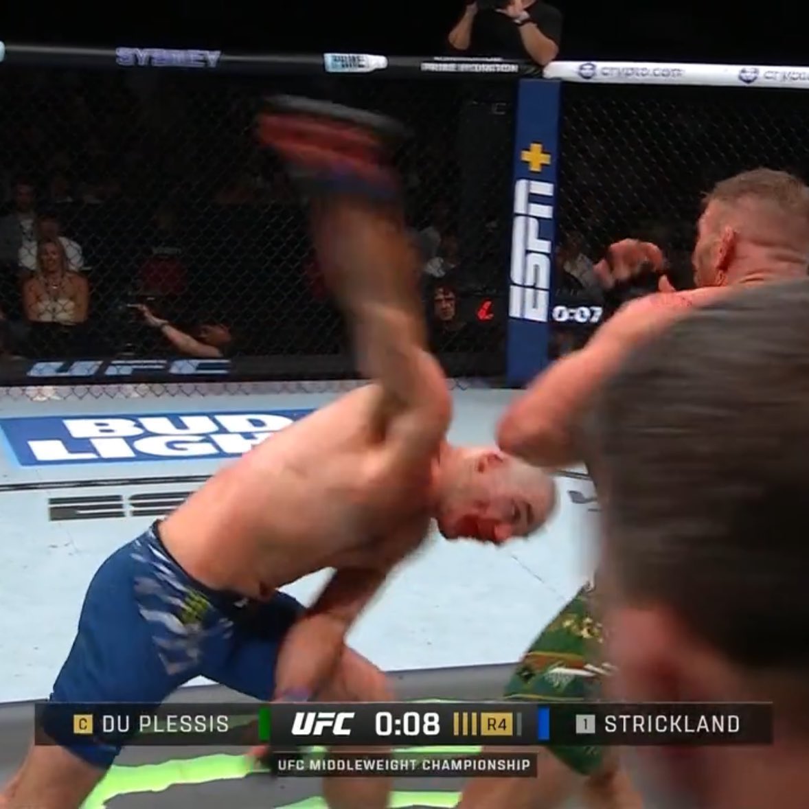 How mfs start fighting when I bet on them: