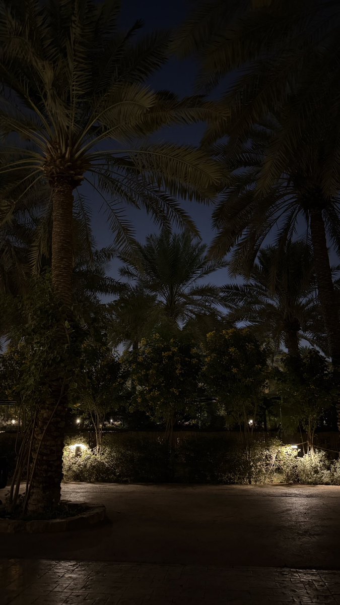 i33e_'s tweet photo. 🌴🤍 https://t.co/kfNJC8moDo