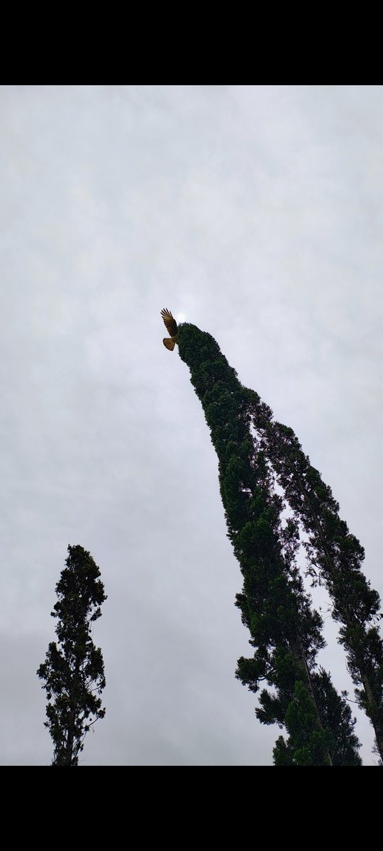 Gastón (@gaston_etchart) on Twitter photo 