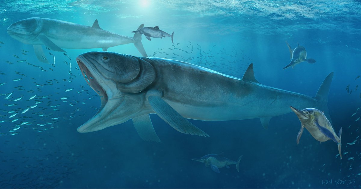 Elden Ardiente tweet media