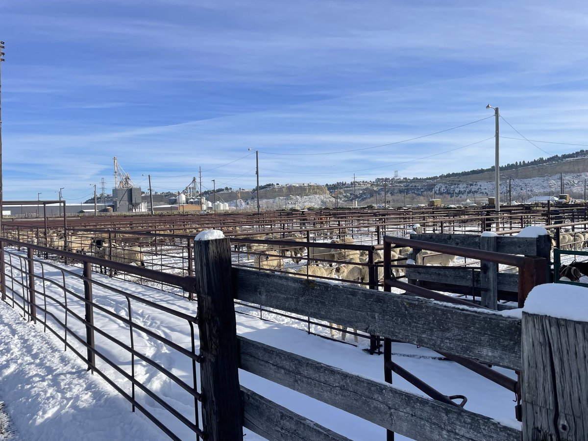 MiloYields's tweet image. On the road again….