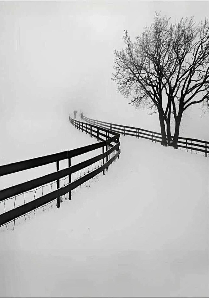 Misty Walk