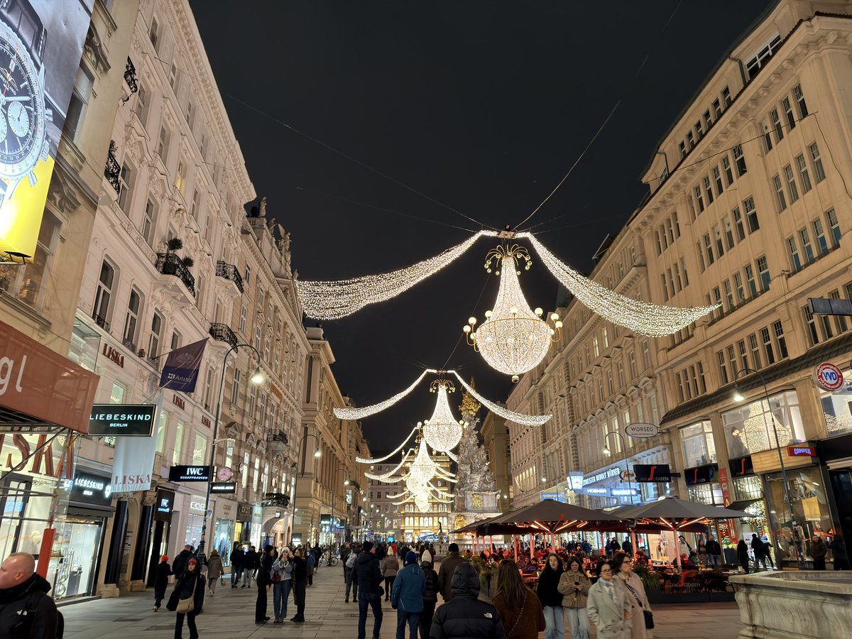 Vienna during Christmas is simply unmatched. ✨ From the giant chandeliers on Graben to the cozy elegance of Palais Ferstel, the city feels like a living fairytale at night. 🇦🇹❄️
#Vienna #Wien #ChristmasInVienna #Austria #Travel #CityLights #iphone #promax
