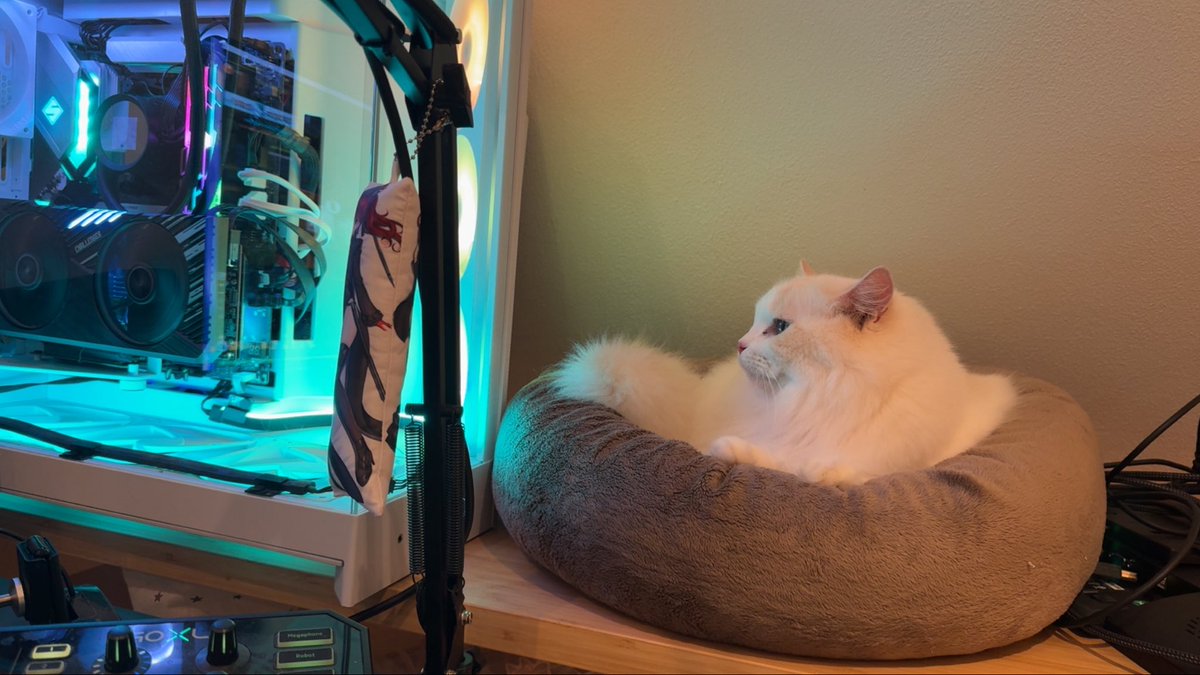 Wie süß er da liegt