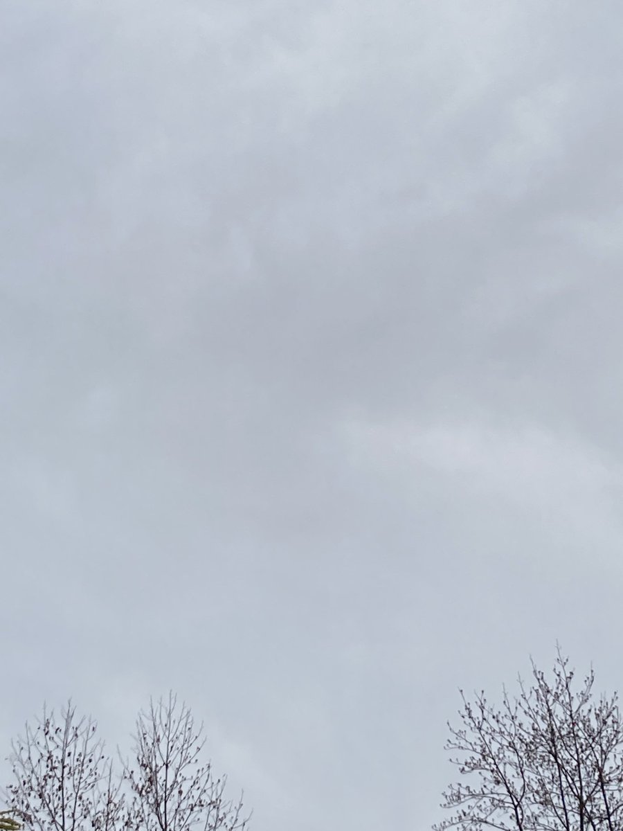 soap_dreamer's tweet image. おはようございます。
12/3(水)もよろしくお願いします。
空が雲に覆われた朝ですが、午後には晴れ間が広がる予報です。
師走の慌ただしさの中でも、心穏やかに過ごせますように……

#空を見上げて #出勤