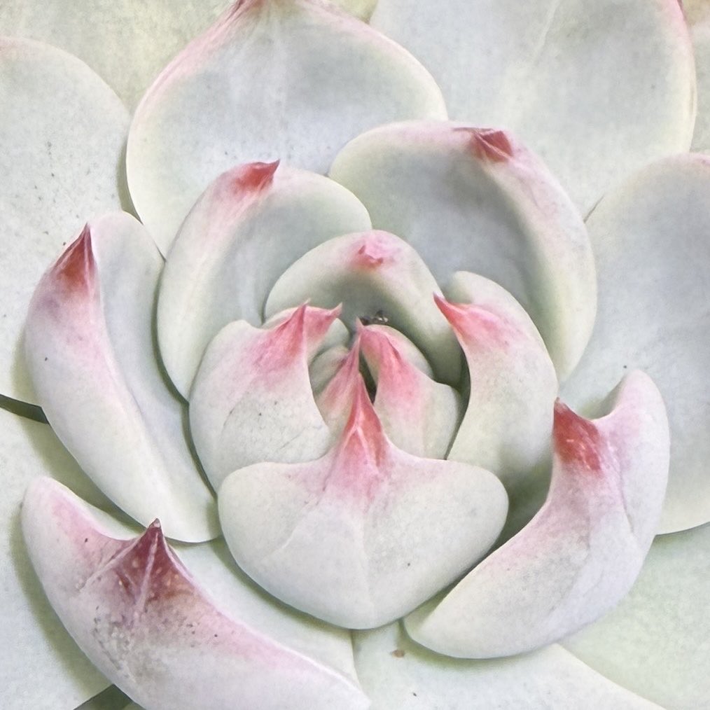 TOMOZOO (@TOMOZOO56496590) / Posts / X