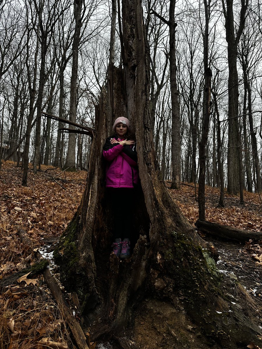 CCPS_ODS's tweet image. West MS week 1: purple group students in the “throne” tree today! #ODSchangetheworld