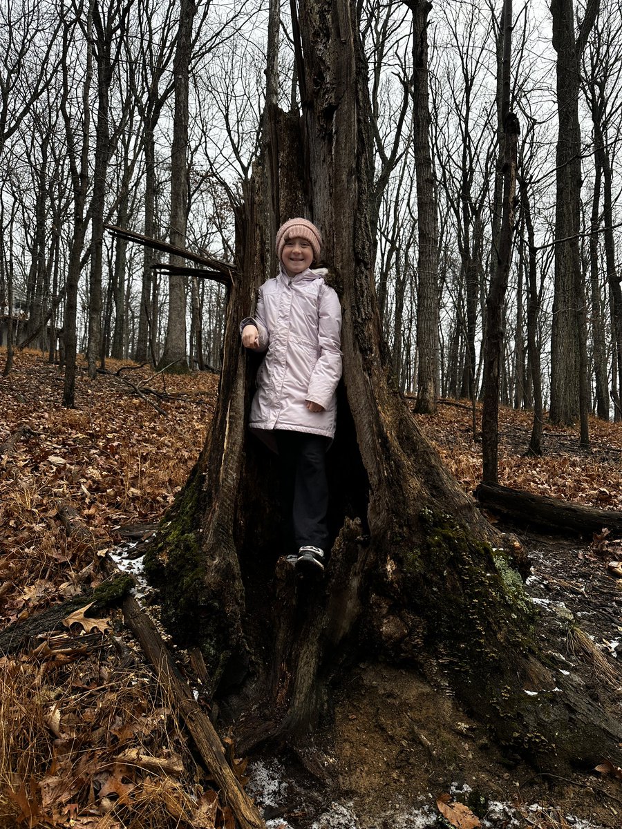 CCPS_ODS's tweet image. West MS week 1: purple group students in the “throne” tree today! #ODSchangetheworld