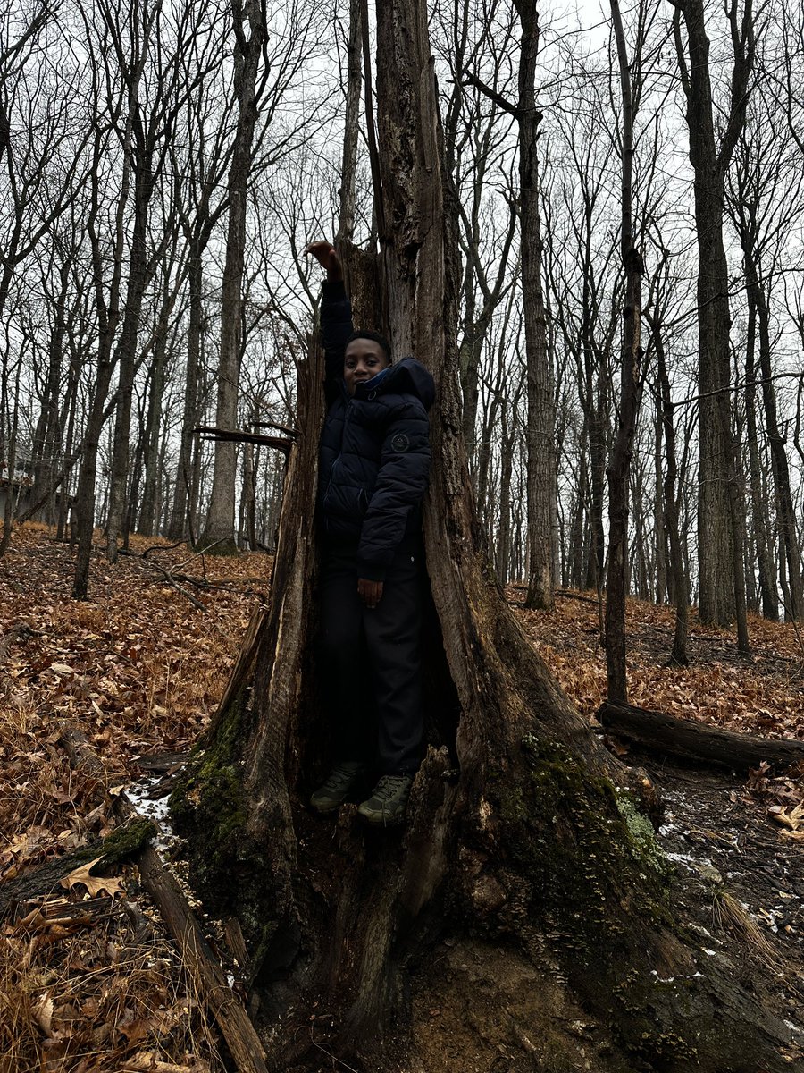 CCPS_ODS's tweet image. West MS week 1: purple group students in the “throne” tree today! #ODSchangetheworld