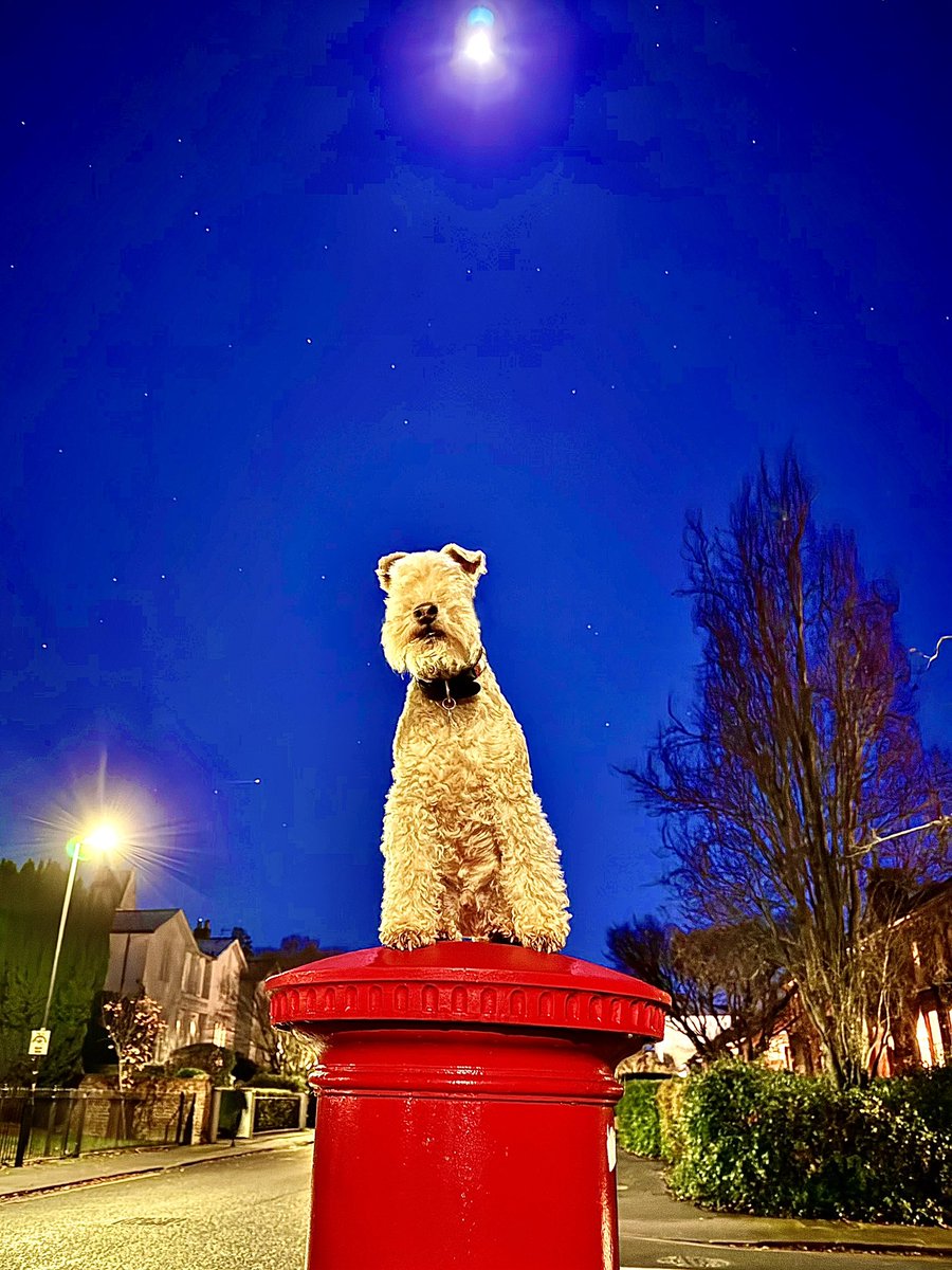 Bertie Lakeland tweet media