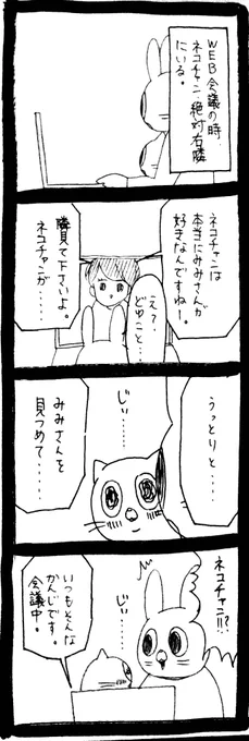 Web会議中のかわいい奇行 