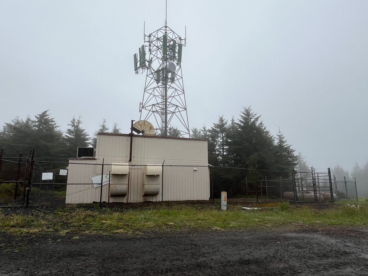 Siuslaw Nat'l Forest tweet media