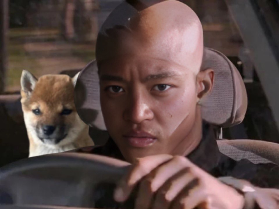 Michael (🇯🇵,🐾) tweet media