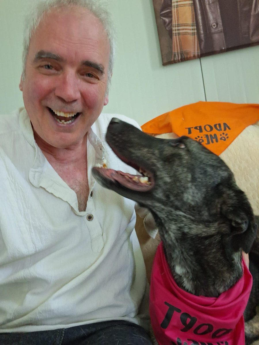 DogDeskAction's tweet photo. 🎁📸 Caption this for a chance to win a DDAA mug!
Our directors will pick their favourite entry on Sunday at 6pm get creative! ☕💙
#DDAA #CaptionThis #RescueDogFun #Giveaway https://t.co/WByMoxOj0T