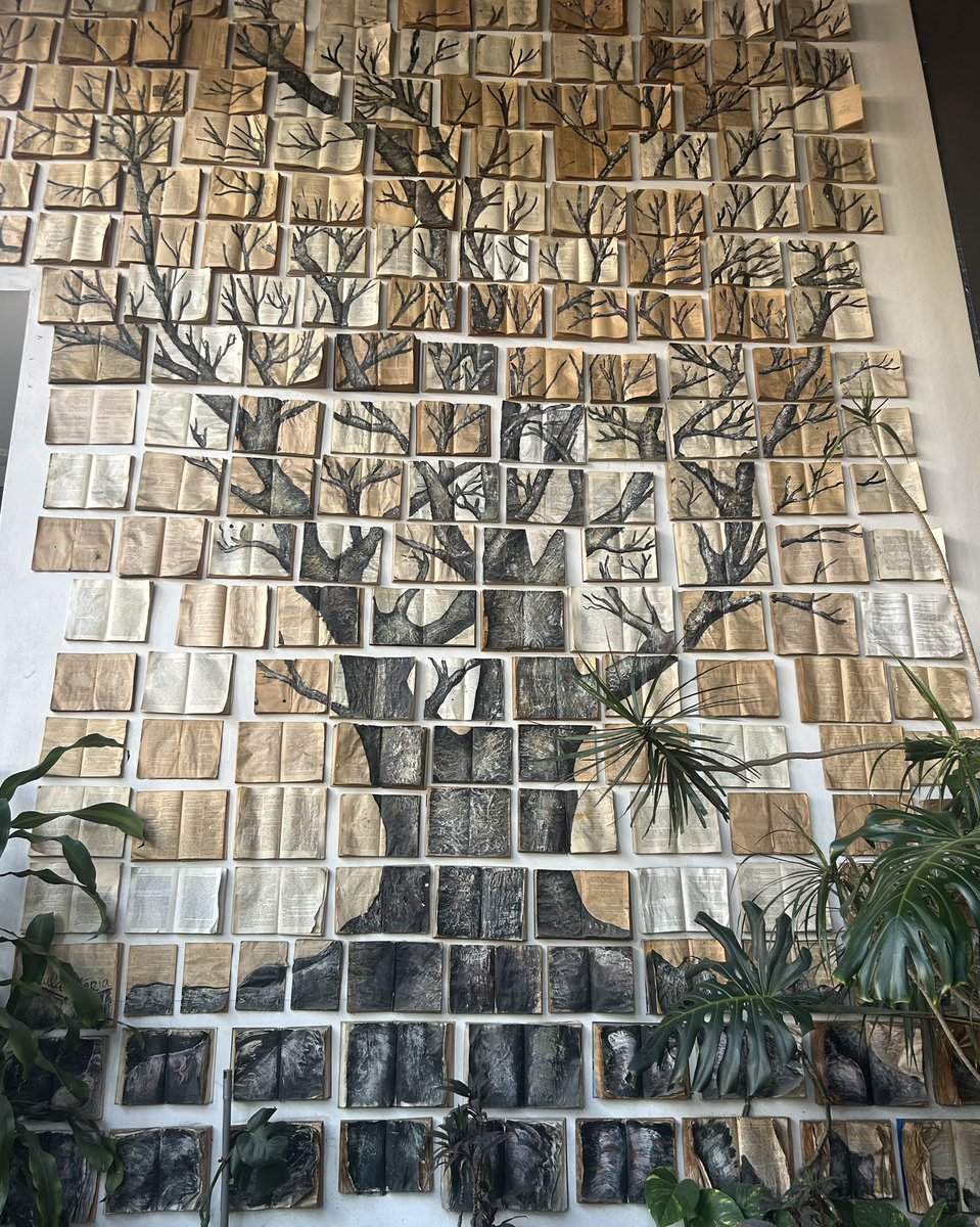 #ÁrbolDelConocimiento 📚🌳