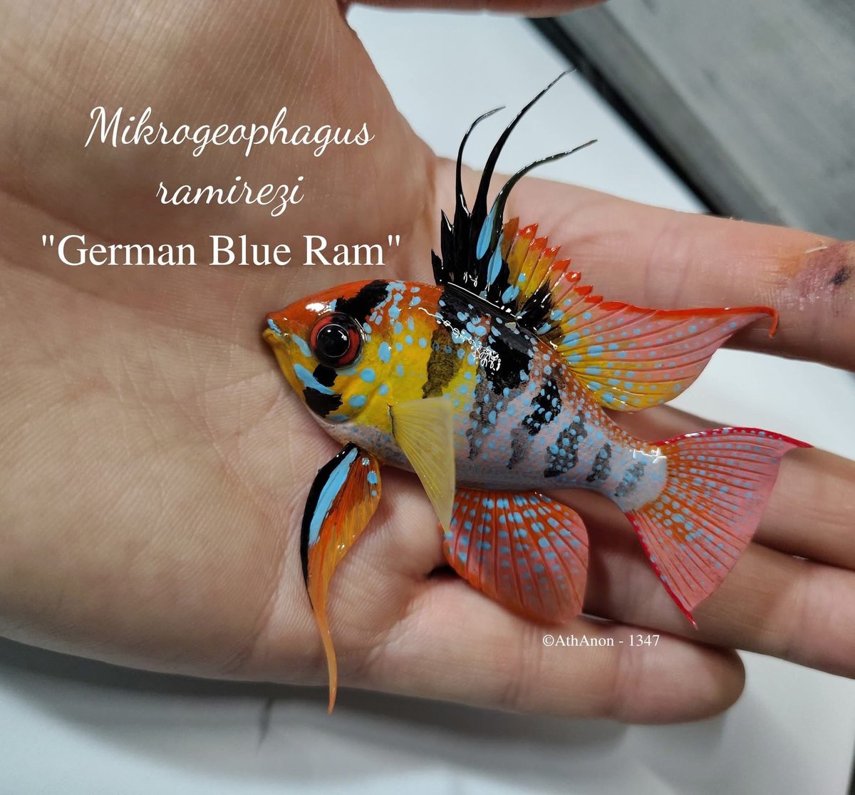 Akvaristbilgi's tweet photo. Sanat Eseri โค๏ธโ๐ฅโค๏ธโ๐ฅ
๐ท AtheriniformesAnonymous134 ๐ค
.
.
#ramirezi #aquarium #fish #fishtank #aquarismo #aquariophilie #cichlid #aquascape #amazonia #aquariumhobby #discusfish #plantedtank #tropicalfish #aquarismobrasil #discus #discusacuarium #discuslife #fishlife #keลfet https://t.co/dBEcDaY8zm