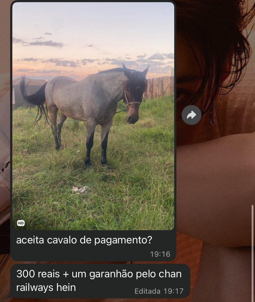 captorgnab's tweet image. fui fazer qyop pelo meu chan de railway e me ofereceram um cavalo?????