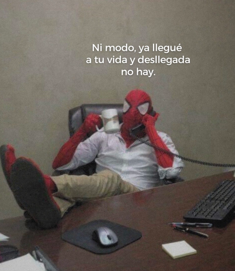 BANDIDOS (@bandidosfrasess) on Twitter photo 