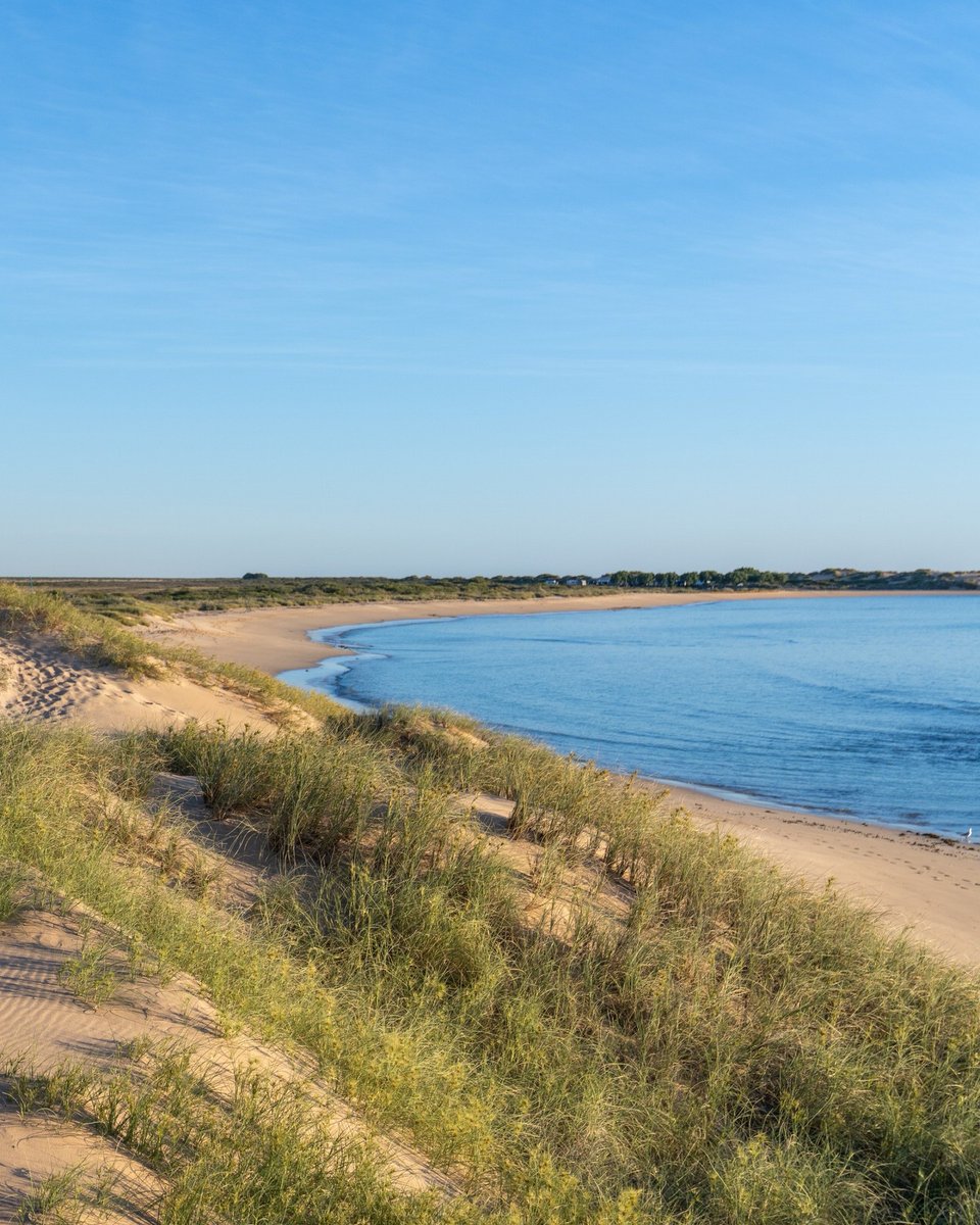 TheOztentGroup's tweet image. Slow sunsets, soft sand, and chairs that make you want to stay a little longer.⁠
Wherever the coastline takes you, comfort should come with you.⁠
⁠
Take our Ultimate Chair Challenge, love it or your money back! 
⁠
#oztent | #discovermore | #ultimatechairchallenge