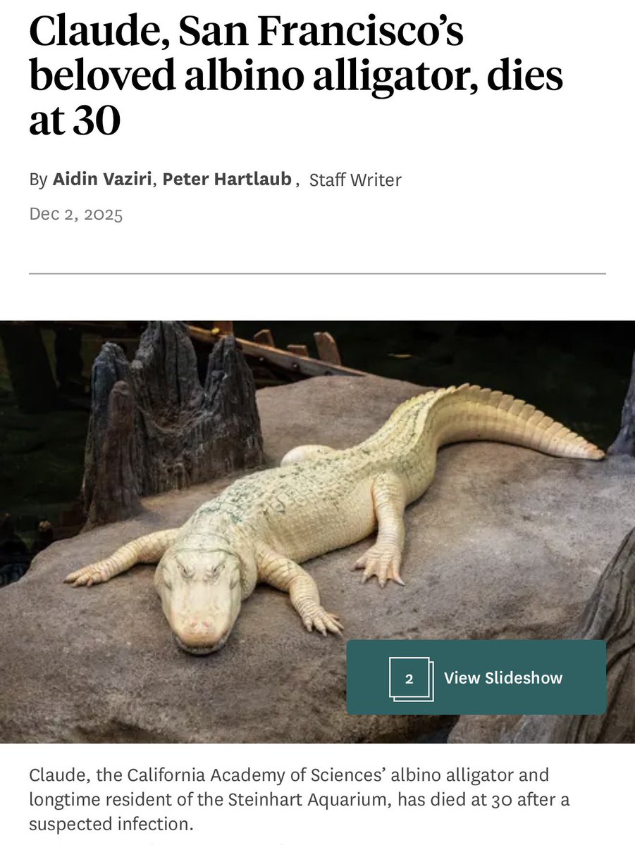 paularambles's tweet image. it’s the beginning of the end