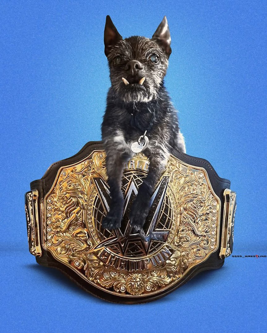 Teffo_01's tweet image. The Heavyweight Champion of the World, Larry ❤️