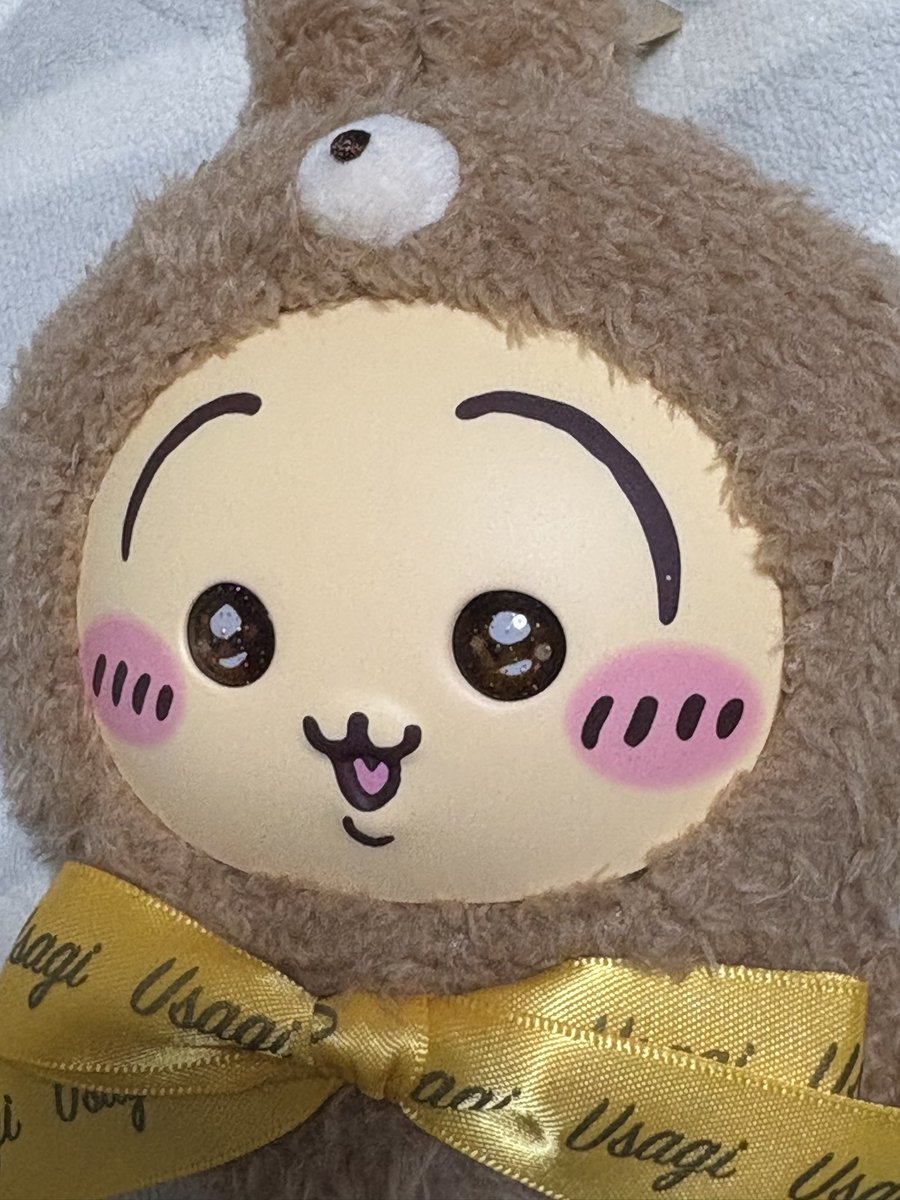 緑茶マン@ちいかわうさぎ推し2025 (@ribbon410930) / Posts / X