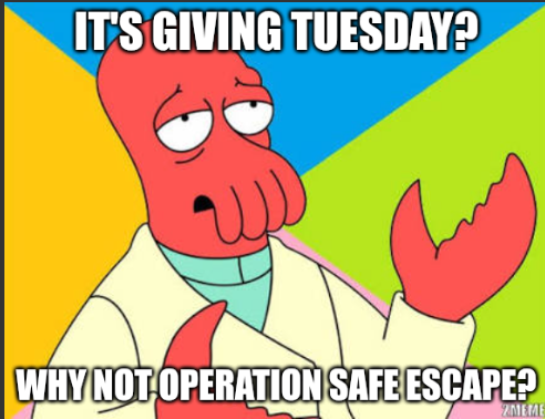 Operation Safe Escape has an important mission- to help survivors of abuse and trafficking escape and stay safe. But we can't do it alone. This Giving Tuesday, be the hero someone need right now. 100% of donations support survivor safety. 

safeescape.org/help/donate/