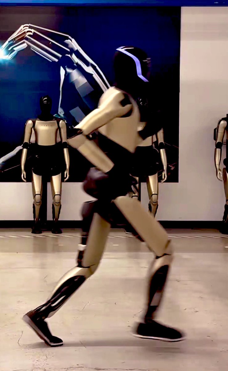 Gail Alfar tweet media