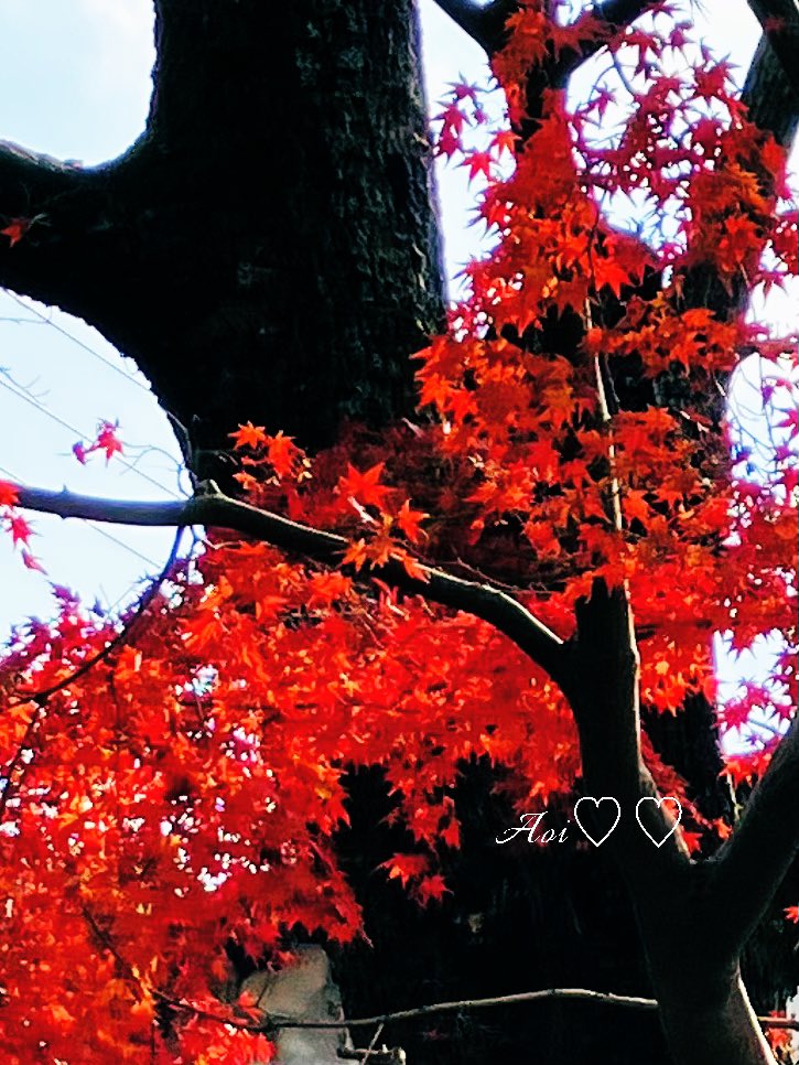 水曜日のおはょー☁️𓂃 𓈒𓏸◌🐥⸒⸒

ꕤ.·*.
この度は、入院に際し
あたたかいお見舞いやメーセージを
いただき
誠にありがとうございました
お陰様で順調に回復し
無事退院する事が出来ました
暫くは無理せず体調を整えていきます。
これからも宜しくお願いします🙇‍♀️
𝓌ₐₛₐᵦᵢ💋💗