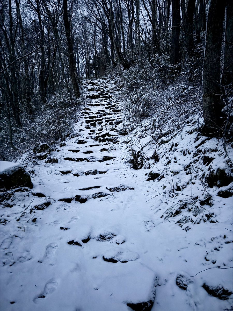 Hokkaido Dreamin'🇦🇺🇯🇵 tweet media