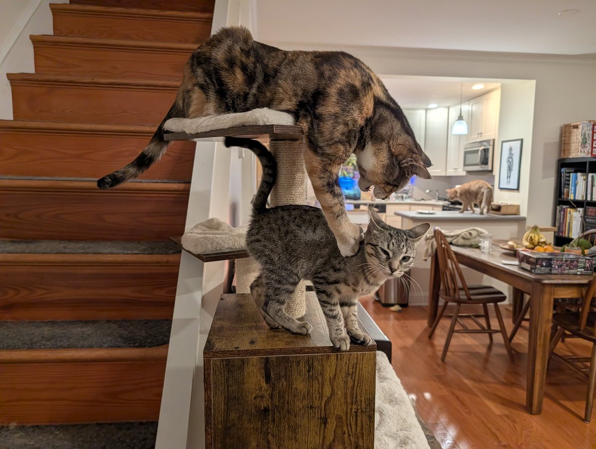 Let's get smacked in the face by sister