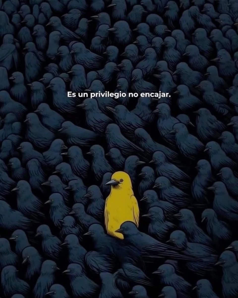 BANDIDOS (@bandidosfrasess) on Twitter photo 