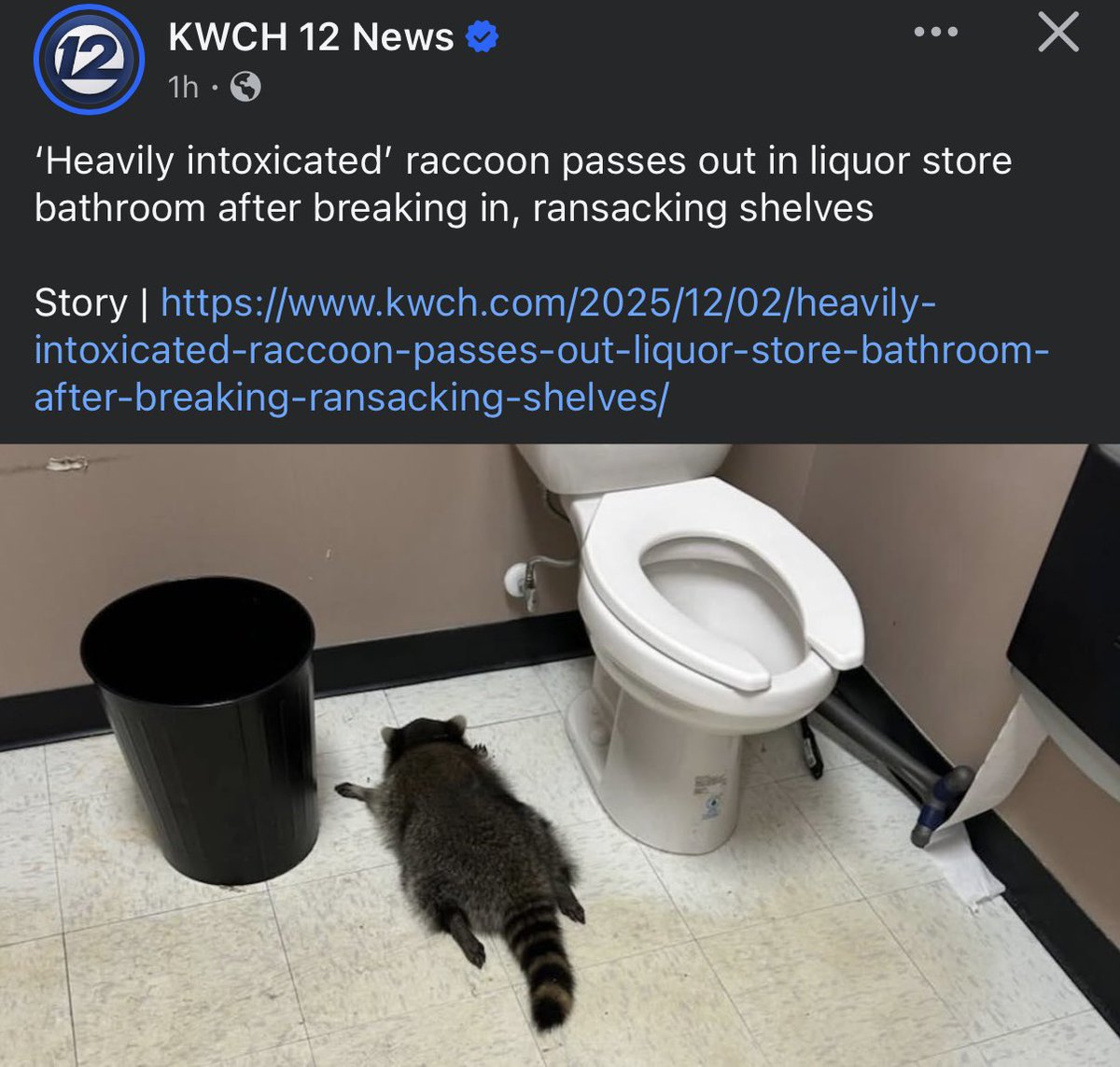 Remy Kulick-Hart tweet media